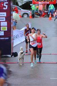 BIB: 2019, 7206, 7215
                            <button type="button" onclick="openModal(5745789)" class="btn btn-primary btn-sm float-right btn-popup" data-toggle="modal" data-target=".modal-high-quality">
                        <i class="fas fa-shopping-cart"></i> Add to Cart
                    </button>
                                            <button type="button" onclick="isThisMe(5745789, true)" class="btn btn-success btn-sm float-right btn-popup btn-isme hidden" data-toggle="tooltip" data-placement="bottom" title="นี่คือรูปของคุณใช่ไหม คลิกที่นี่เพื่อเอาเข้าอัลบั้ม">
                        <i class="fas fa-plus"></i> Add to album
                    </button>
                    <button type="button" onclick="isThisMe(5745789, false)" class="btn btn-warning btn-sm float-right btn-popup btn-isnotme hidden">
                        <i class="fas fa-ban"></i> Remove from album
                    </button>